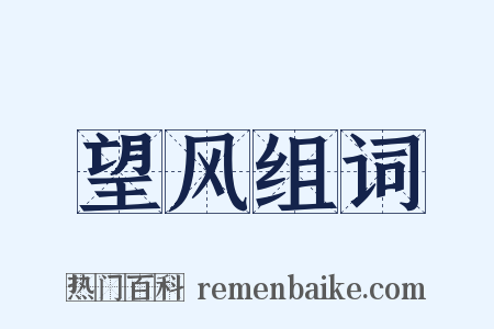 望风组词是什么意思的图片